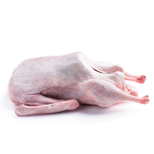 Gans aus Weidehaltung